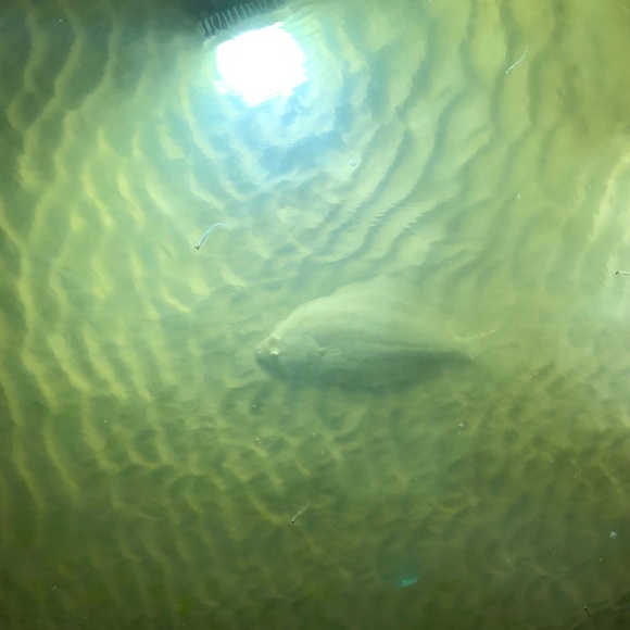 Meet your Posher, Jacob - Picture 1 of 1